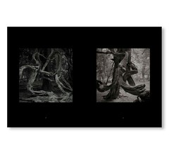 Kenro Izu Mono no Aware Signed Stamped Art Photography Book New Rare