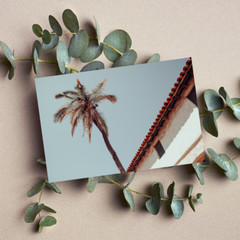 Coastal Palm Tree Print 7×5 – Beach Photography Mission‑Style Wall Décor