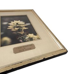 Floral Photograph Wall Art Framed Original Signed Engraved Plaque