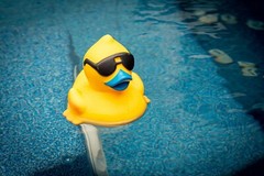 Dave Thompson Fine Art Print – Rubber Ducky