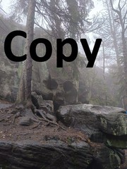 Digital Image Photo Picture JPEG