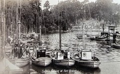 Salmon Fishing Fort Bragg CA 1920 DIGITAL DOWNLOAD Print at Home Photograph