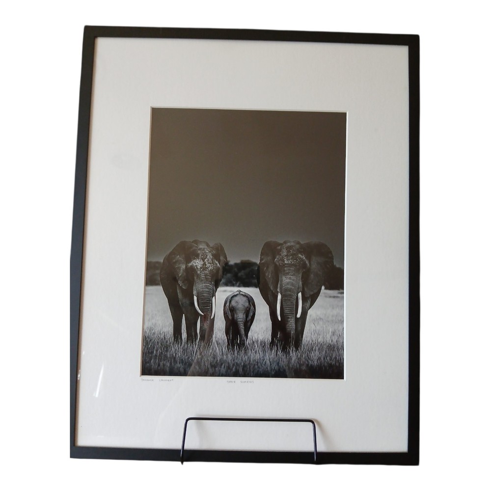 Laurent Baheux “Body Guards”Framed Limited Edition Art Photograph | YellowKorner