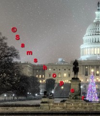 2013 U.S. Washington DC Capitol Christmas Tree Snow Day Photo Print 16″ x 24″