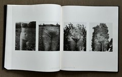 🎈SIGNED Harry Callahan, 1976, Limited edition Only 200 COPIES! Mega RARE!