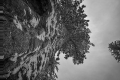 Winter Wonderland 17X25 Yosemite Landscape like Ansel Adams sequoia