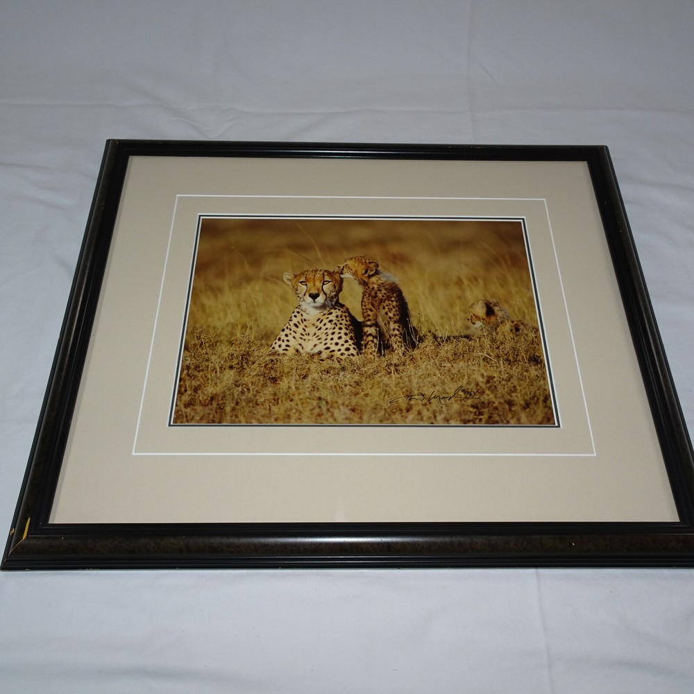 THOMAS MANGELSEN SIGNED 1994 SECRETS OF THE SAVANNAH LE 118/950 10X14 IMAGE FRM