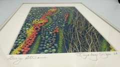 Signed Framed Botanical Berry Photograph Nature Wall Art Modern Colorful