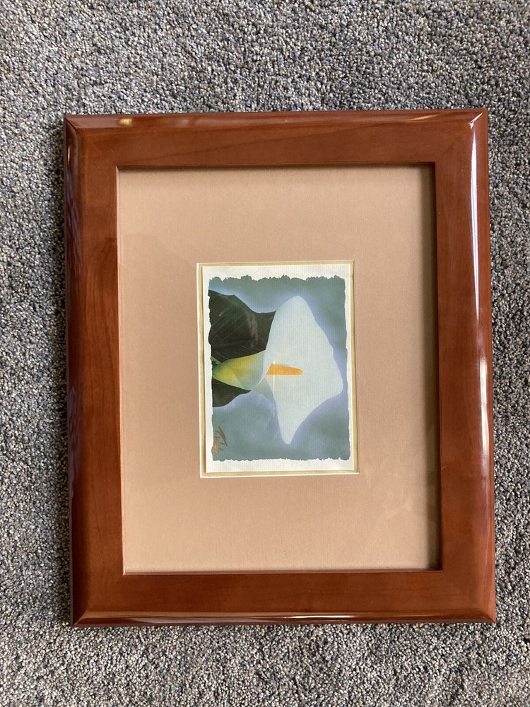 Calla Lilly Photograph & Print