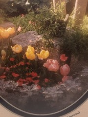 Pair Gamow Signed Floral Photography Art 5″ x 7″ Matted