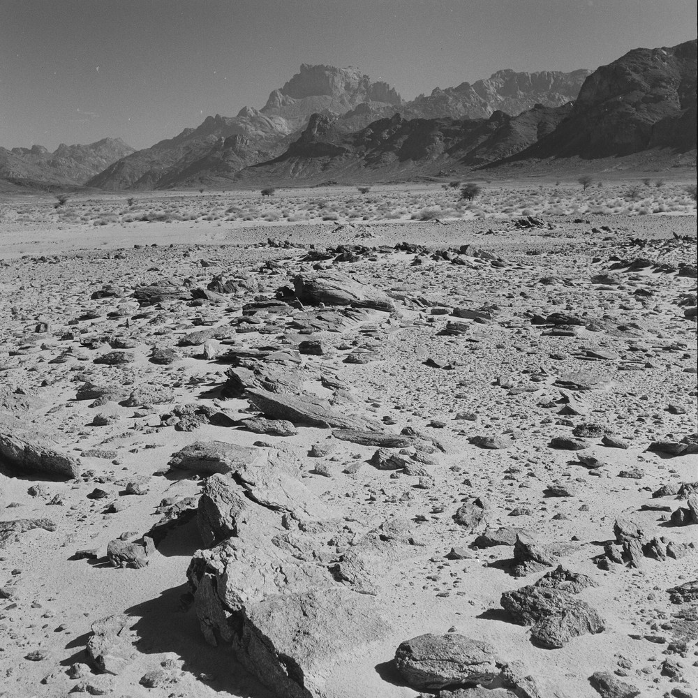 Photo On BARYTE Paper DESERT Algeria 1960 Size 40x40cm