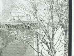 Black And White Photograph Titled “Harkness” Signed W. Abrams