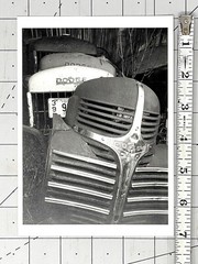 Michael Johnson Photography Show Announcement Card 1994 – Recent Work – Dodge