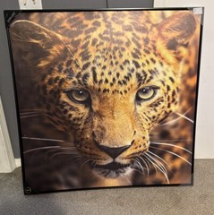 Leopard 40”X40” Huge Canvas Wall Art Framed Art Home Decor