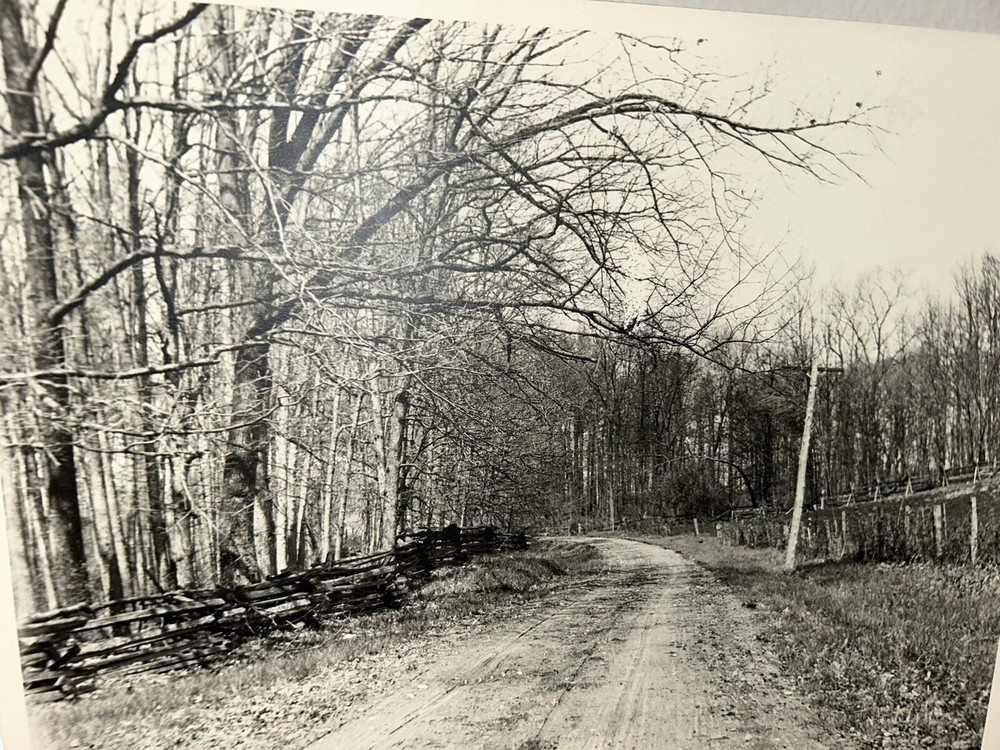 Arthur Gray Standard Oil Photographer Cleveland Ohio Americana Forrest Landscape