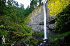 Latourell Falls – Columbia River Gorge – Oregon Waterfalls – PNW Photo Prints