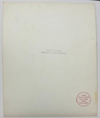 Original RINGLING BROS Circus Standing TIGER PHOTO – Roland Butler Collection