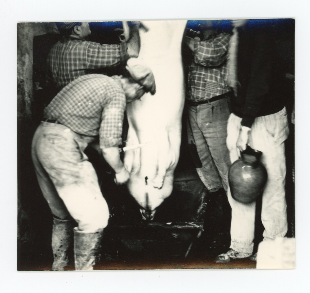 Mario Giacomelli Italy Photo Abattoir Slaughterhouse 1960s Vintage Italian