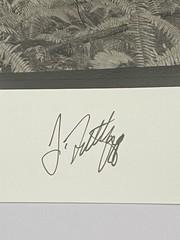 Jim Fitzgerald Untitled Fern & Tree Photo Signed Photograph Carbon Transfer