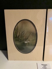 Pair Gamow Signed Floral Photography Art 5″ x 7″ Matted