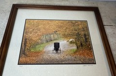 Wade Wilcox Signed Photography Photo Amish Buggy Autumn Scene Country Americana