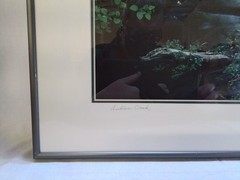 “Indian Creek” Framed Landscape Photograph by Gary Carlson