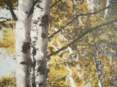 M.J. HUMPHREY, Grand Marais, MN MINNESOTA BIRCHES ON LAKE SUPERIOR HAND TINTED