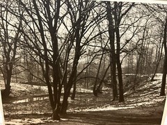 Arthur Gray Standard Oil Photographer Cleveland Ohio Americana Wooded Landscape!
