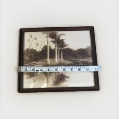 Moanalua Hawaiian islands Tinted Photo Nicely Framed Hawaii Palm trees