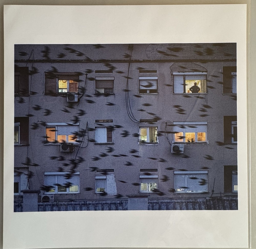 SIGNED JONAS BENDIKSEN “Apartment Building, Veles 2020…” 6 x 6″ MAGNUM PRINT