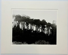 Original GORDON H HASTINGS California Yosemite Death Valley Gelatin PHOTOGRAPHS