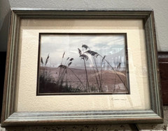 Vtg Barry Gamow Beach Photographs 4 Matted Framed 8” X 6” c1960s – 1980s Signed