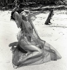 1954 BETTIE PAGE Original Female Nude BUNNY YEAGER Miami FL Key Biscayne Photo