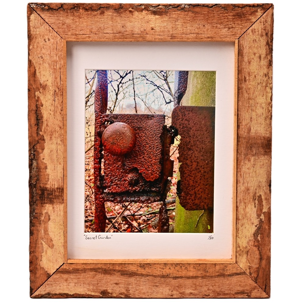 MICHAEL RAY Original Vintage Signed NY Secret Garden Landscape Photograph Print