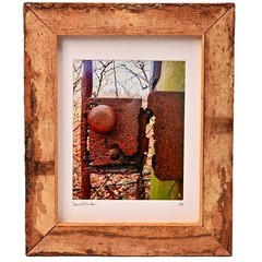 MICHAEL RAY Original Vintage Signed NY Secret Garden Landscape Photograph Print