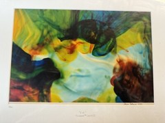 Toilygraph Matted Print Eve By Adrian Rodriguez 1994 Signed Abstract Photography