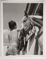 Vintage Film Photo France Child In Summer Camp 18X24CM 1960