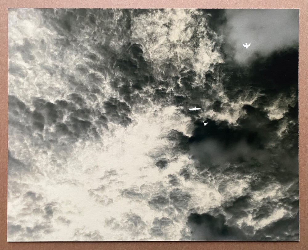 RICHARD MISRACH signed limited edition photograph – FOUR Portfolio (2022)