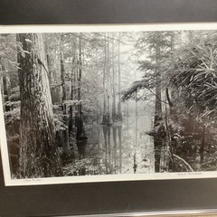 Blair Pittman: “Old River” – Original Gelatin Silver Print Photograph