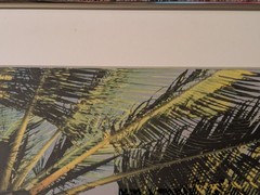 Vintage 1994 Robin L White Signed Palm Tree Tropical 23½”x10⅞”Framed Photo
