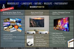 Buffalo Country Home Décor – Wildlife Fine Art Photography Prints