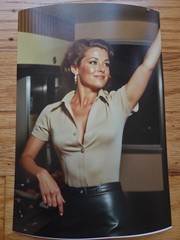 Vintage Lot of 8 Risque Airline Stewardess 5×7 Photos – 1970s Limited Edition
