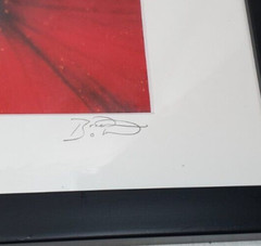 Inside the Flower Brilliant Red Photo Signed an Dated Matted an Framed 12″x15″