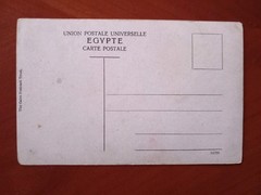 Postcard CPA Egypt/Egypt Palm trees of Gabbart
