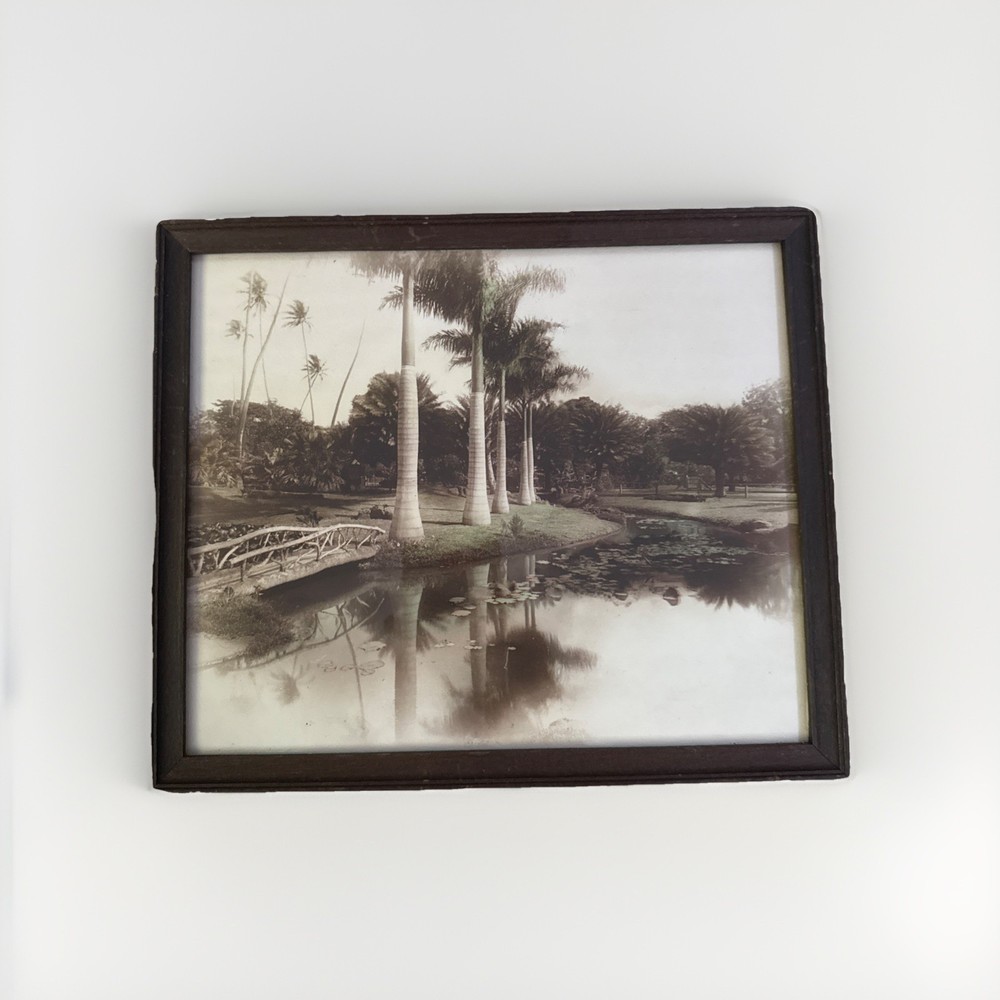 Moanalua Hawaiian islands Tinted Photo Nicely Framed Hawaii Palm trees