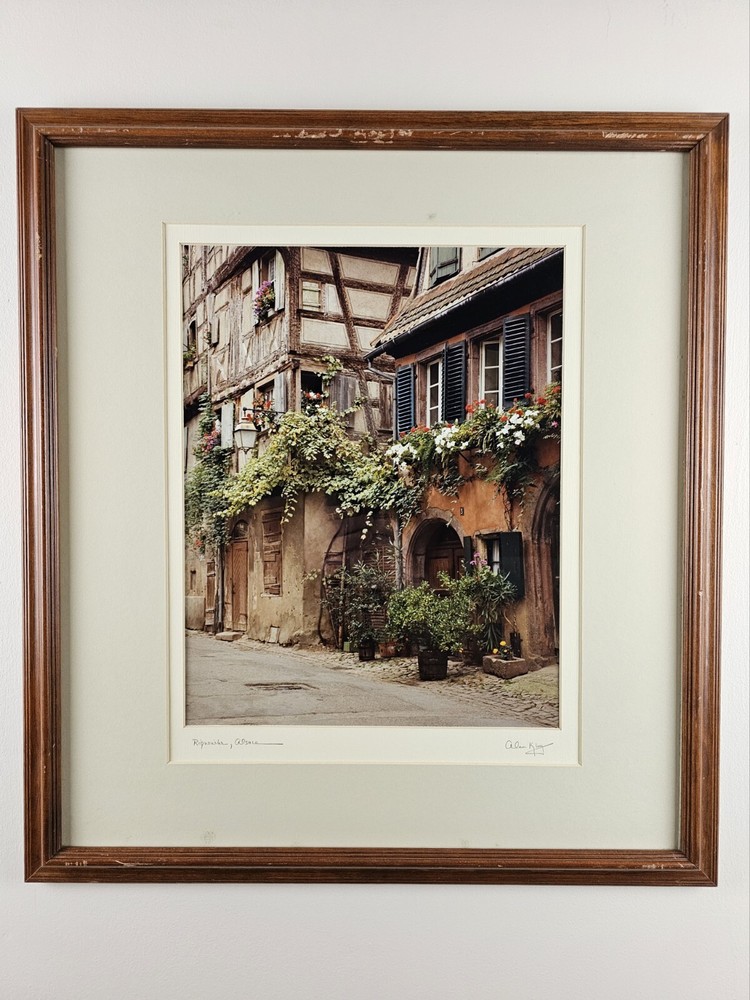 ART – Original Vintage Signed Alan King Photograph 22×20 Framed 35mm Art VTG 89
