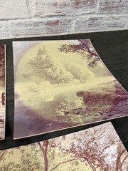Vintage Photographer Alexandre Nodopaka Photo California Signed Lot Of 3 Rare