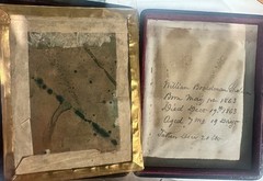 Beautiful HALF PLATE Tinted Daguerreotype of Cute Siblings Boy & Girl