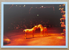 NAN GOLDIN – Horse Circus (2025) signed limited edition photograph
