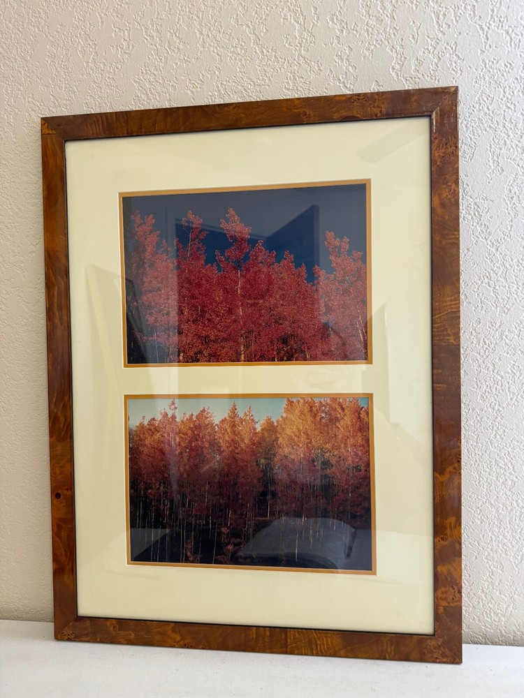 Nicely Framed Set of 2 Photographs of Trees
